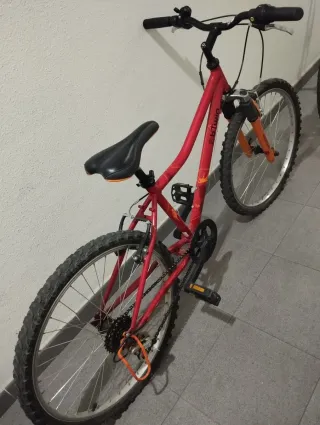 5 Bicicletas