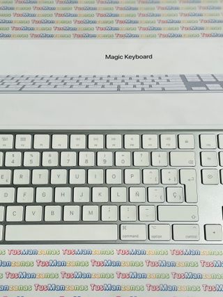 Teclado Apple Magic Keyboard A1843 Español