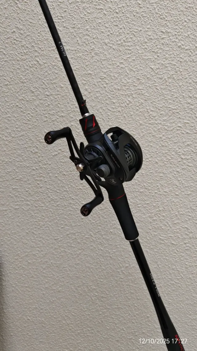 Caña Casting (solo caña)