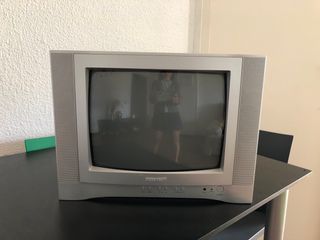 Televisor Chestron 14 Gris Tubo