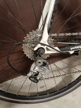 Bicicleta GOKA SPECIAL EDITION II