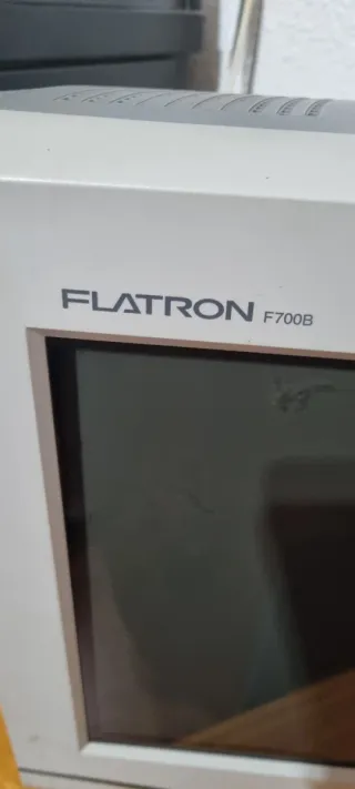 Pantalla LG Flatron Beige/Gris