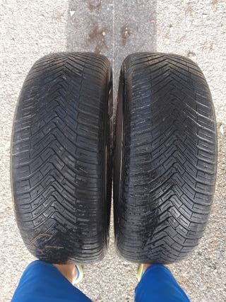 Llantas Continental 225/65 R17 V XL