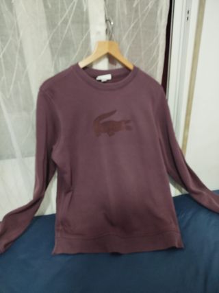 Sudadera Lacoste Morada sin Capucha