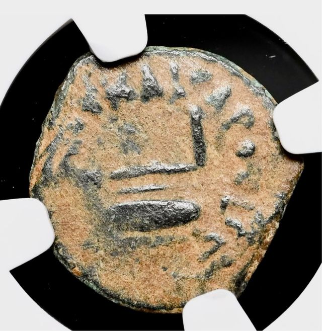 Moneda Bíblica Judea Poncio Pilato AD 26-36