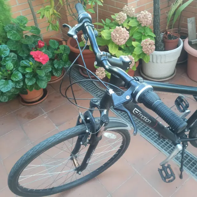 Bicicleta Campo-Ciudad Adulto marca BH