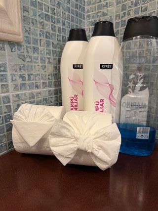 limpieza para pisos turísticos en Valencia