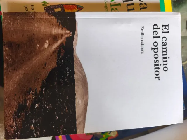 El camino del opositor: Lo que no te contaron