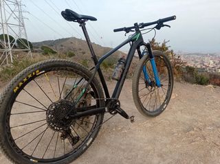 Orbea Alma Carbono