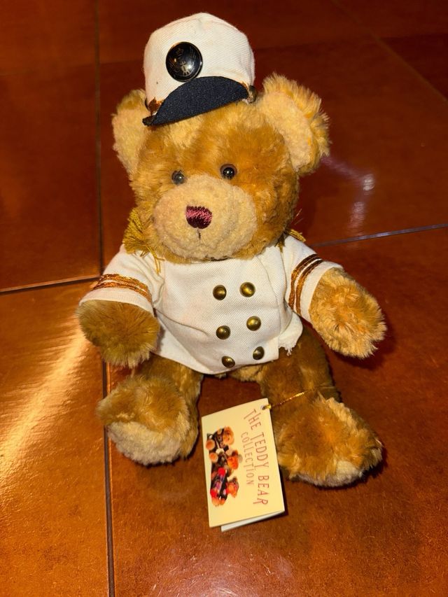 Colección Teddy Bear Profesiones