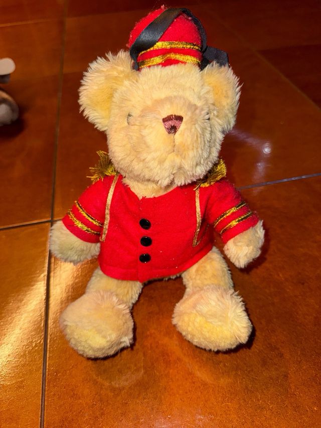 Colección Teddy Bear Profesiones