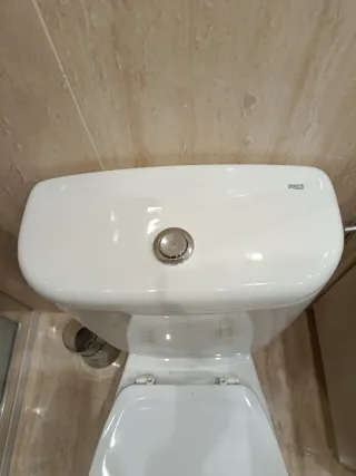 Tapa cisterna Roca Victoria blanca