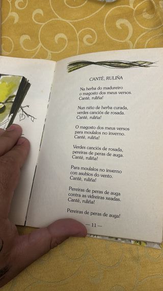 Libro polo correo do vento