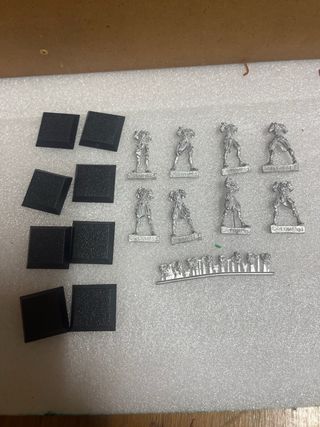 8 Miniaturas Confrontation Cynwall