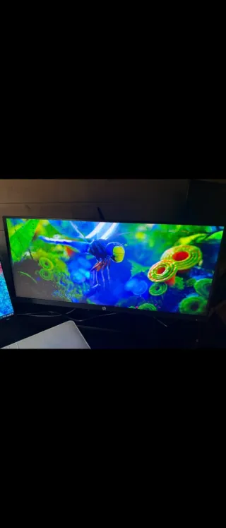Monitor Ultrawide HP X34 3440x1440 165Hz IPS
