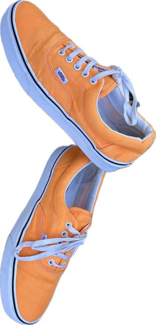 Zapatillas “ Vans “