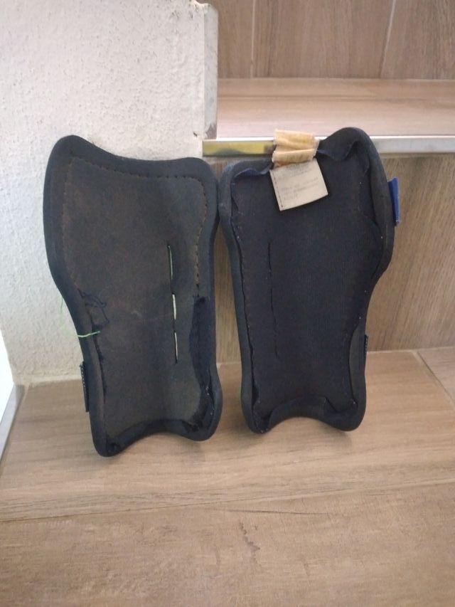 Parastinchi Puma Verdi