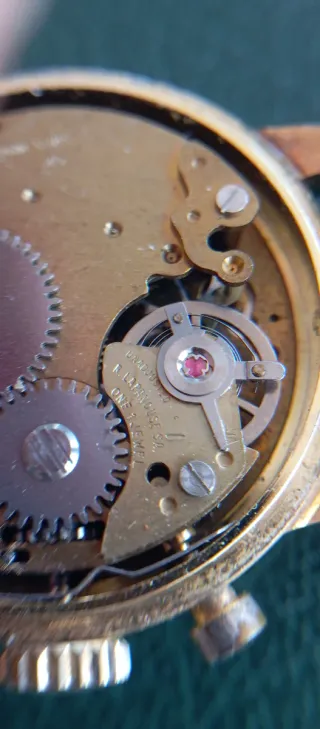 Reloj Suizo Cronógrafo Rego Sport Telemetro