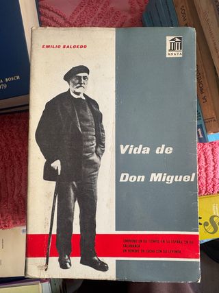 vida de don Miguel
