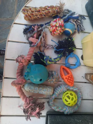 Lotto di giochi per cani