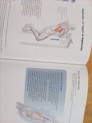 Anatomía del Triatleta