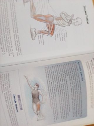 Anatomía del Triatleta