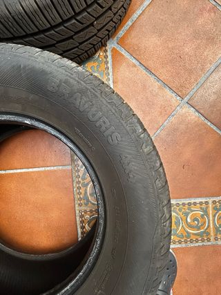 Neumáticos Furgoneta/4x4