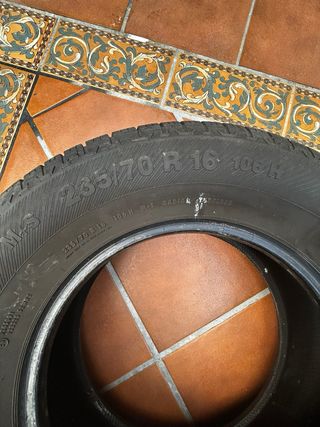 Neumáticos Furgoneta/4x4
