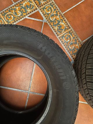 Neumáticos Furgoneta/4x4