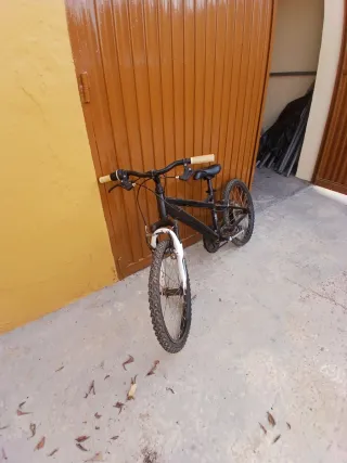 Bicicleta negra