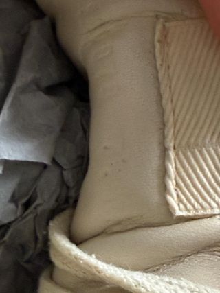 Deportivas Gucci Talla 7.5 (equivalencia 40.5)