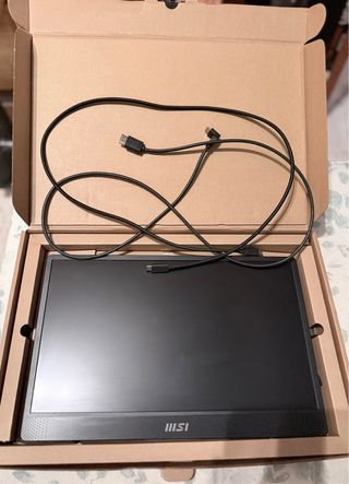 Monitor Portátil MSI PRO MP161 E2
