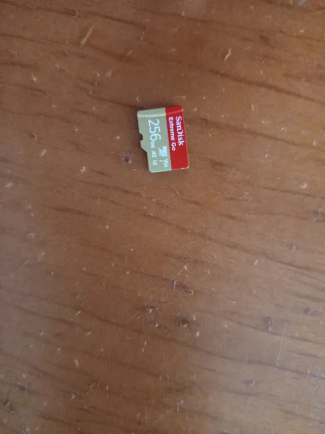 Tarjeta MicroSD SanDisk Extreme Go 256GB