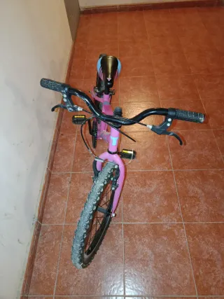 Bicicleta Rosa