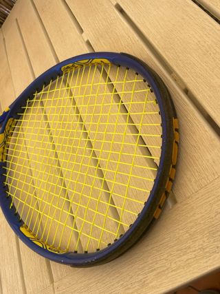 Raqueta Volkl Organix 5 255g