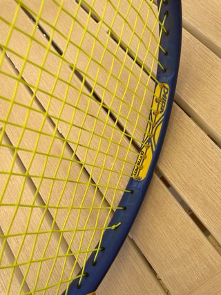 Raqueta Volkl Organix 5 255g
