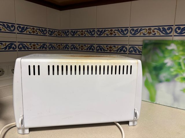 Horno Tostador 800W