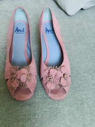 Zapatos Azul Platino Rosas Flores