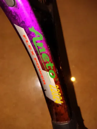 2 Raquetas de Tenis