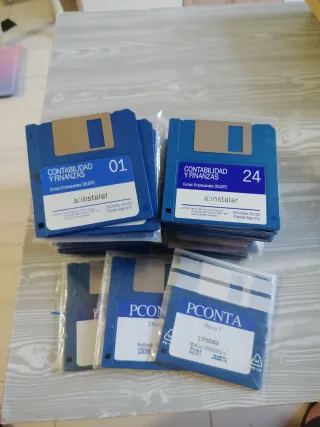 53 Disquetes 3.5 Doble Densidad