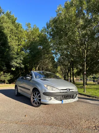 Peugeot 206 2002