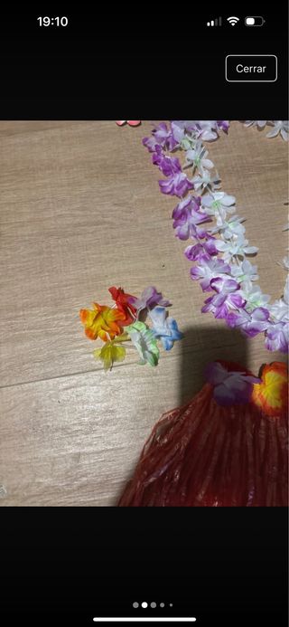 Traje Hawaiano Falda Roja y Flores