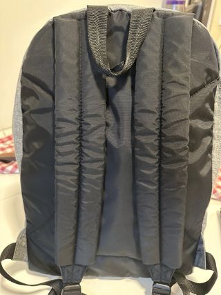 Mochila Eastpak gris, con doble compartimento