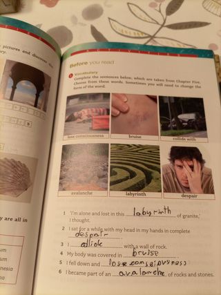 Journey To The Centre Of The Earth (fw)