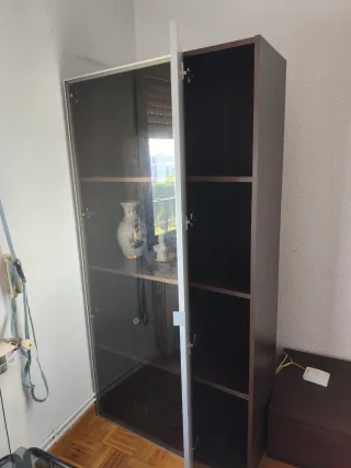 Vitrina salón cristal y metal de 2 puertas