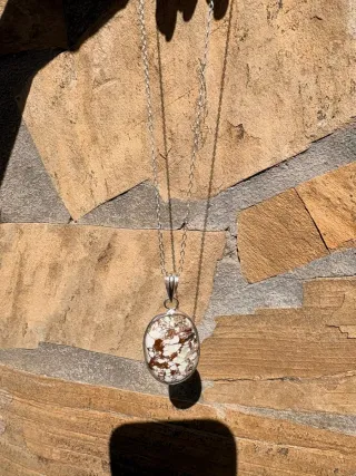 Colgante y Cadena Plata 925