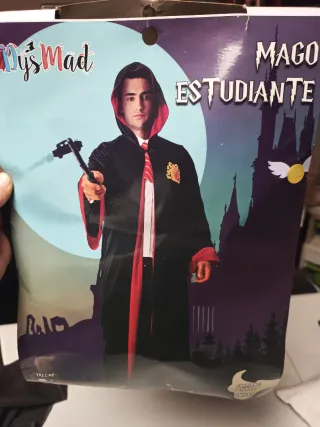 Disfraz Mago Estudiante 