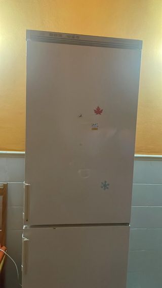 Nevera blanca con congelador