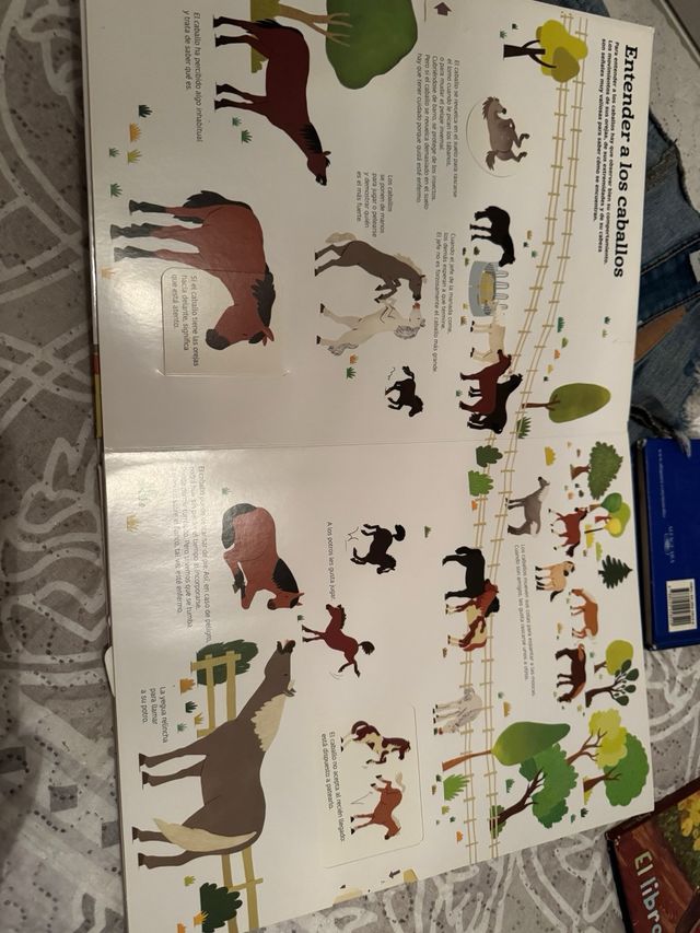 el gran libro de los caballos