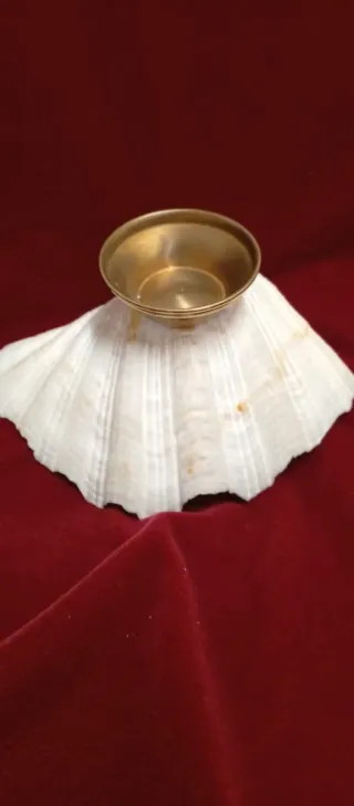 Cenicero de concha con base dorada